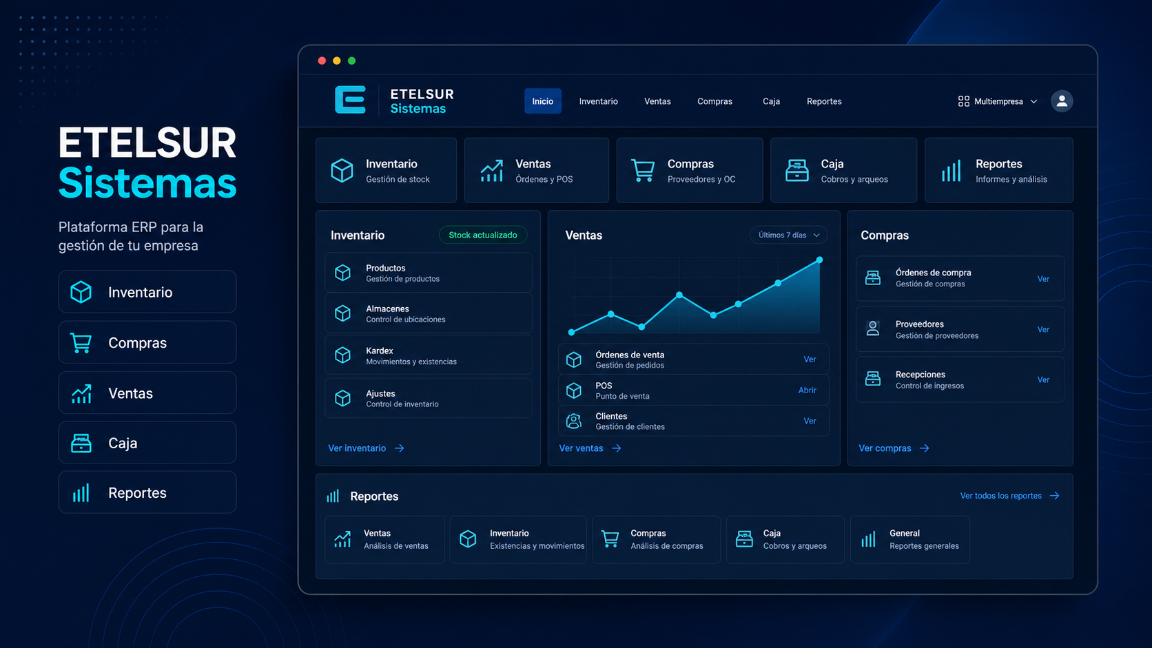 Vista conceptual de ETELSUR Sistemas ERP